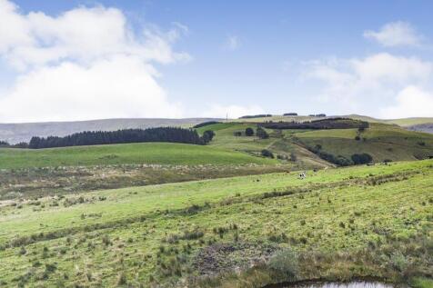 The Surrounding Views