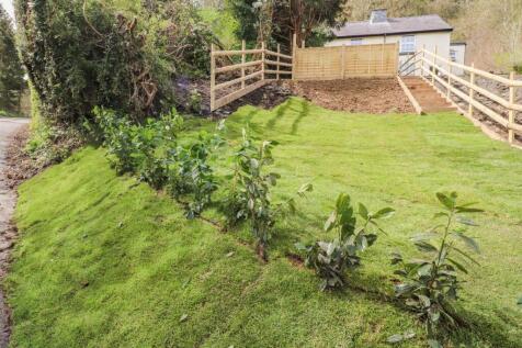 Additional Photograph