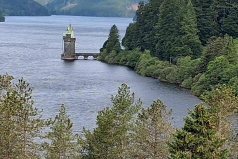 Additional Photograph