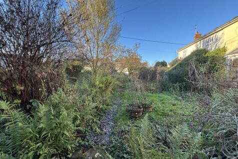 Front garden 2.jpg