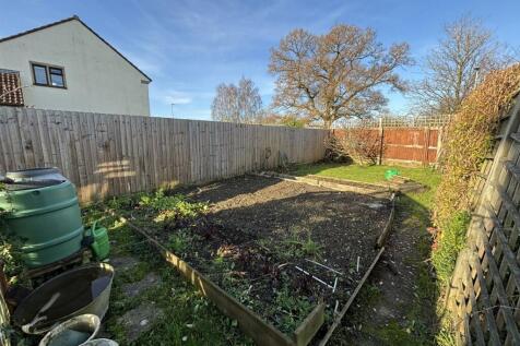 Veg garden.jpg