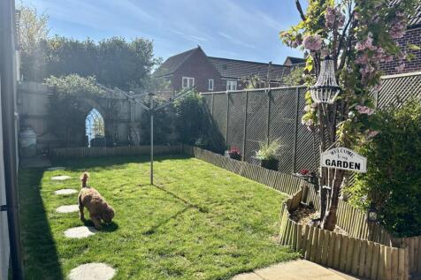 Garden.jpg