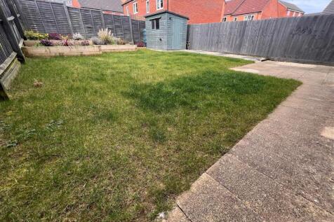 Garden b.jpg