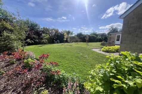 Garden f.jpg