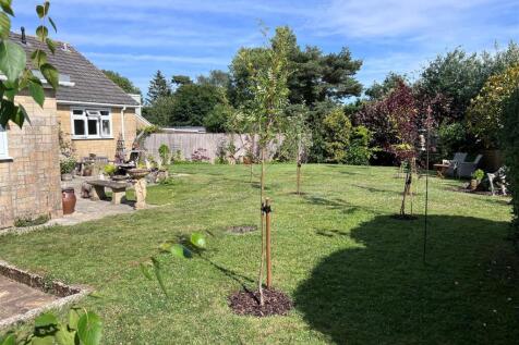 Garden d.jpg