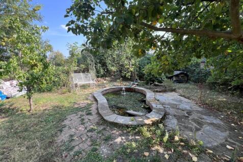 Garden.jpg