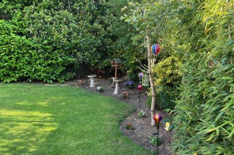 Garden2.jpg