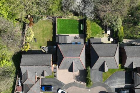 Drone pic.jpg