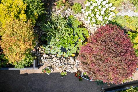 DJI_0032.jpg