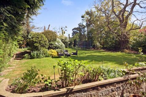 Gardendp_dp_9950330.jpg