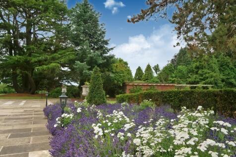 IMG_3676 (Portal Size).JPG