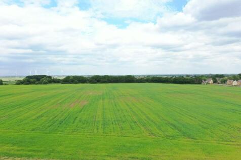 DJI_0519
