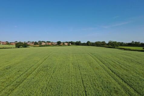 DJI_0994