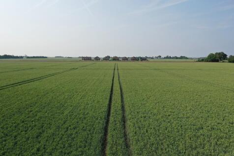 DJI_0475 L1