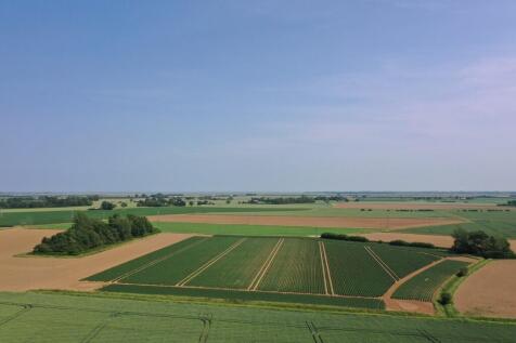 DJI_0304 L1