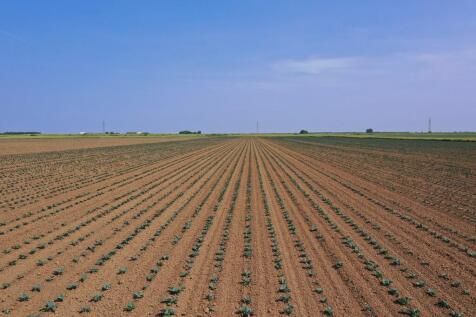 DJI_0359 L3 crop