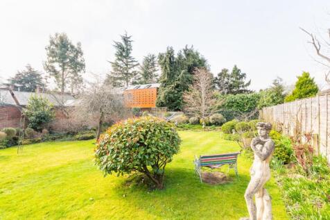 garden-6.jpg