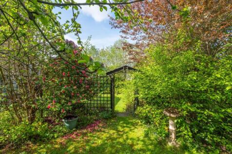 garden-3.jpg