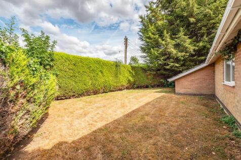 garden 3.jpg
