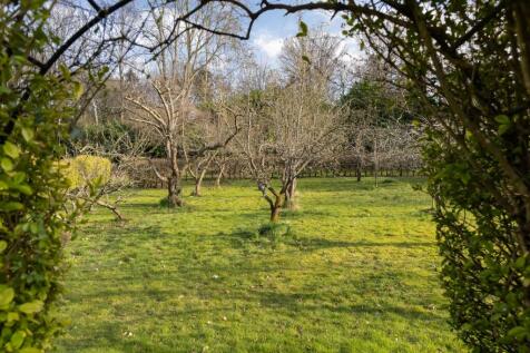 Property Image 58