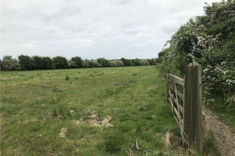 Pasture