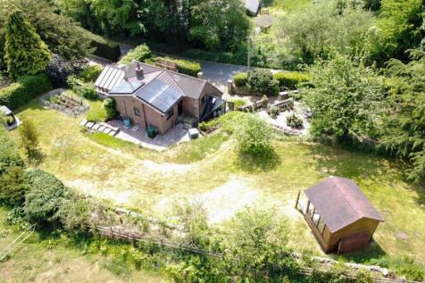 DJI_0238 2.JPG