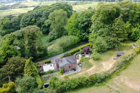 DJI_0211 2.JPG