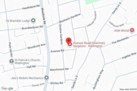 Google Maps Image