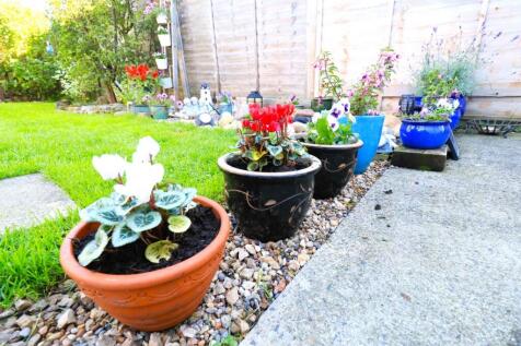 Photo 27