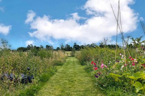 Property Image 39