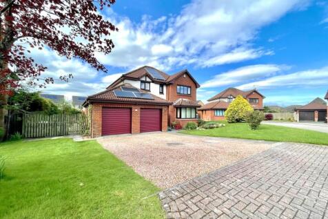 Property Image 36
