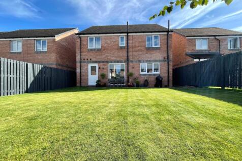 Property Image 44