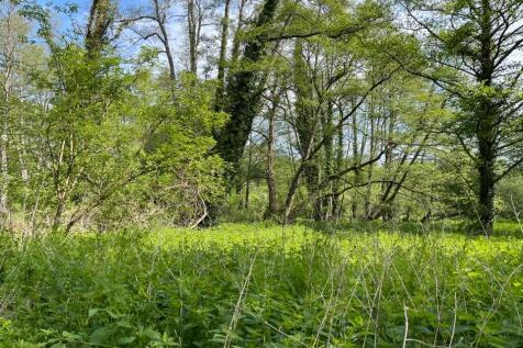 Property Image 39