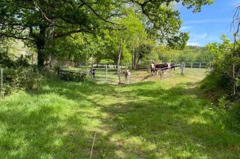 Property Image 44