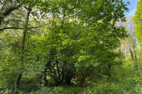 Property Image 53