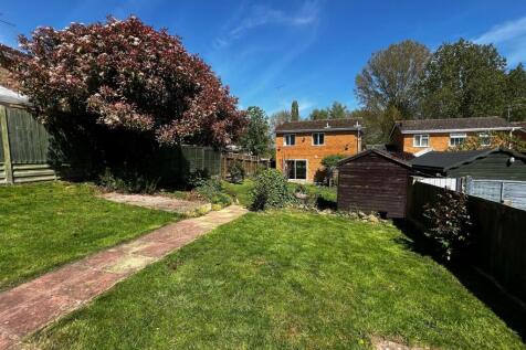 garden ii.jpg