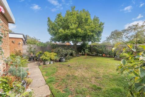 Yasna, Cropredy-15.jpg