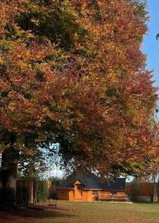 Strathcarron, 9a Twyford Avenue, Twyford-31.jpg