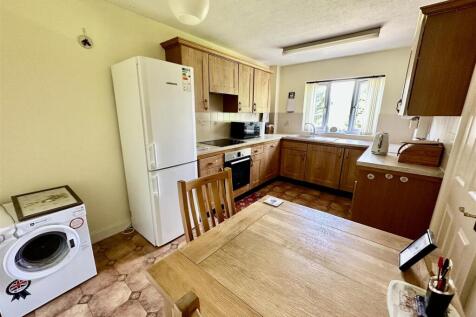 IMG_7719 lightened.jpg