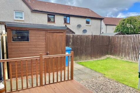 Back Garden
