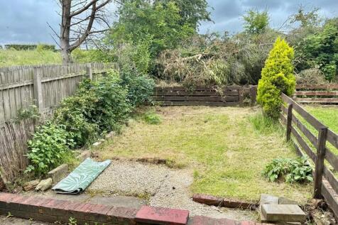 Back Garden