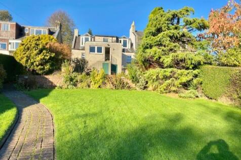 Back Garden