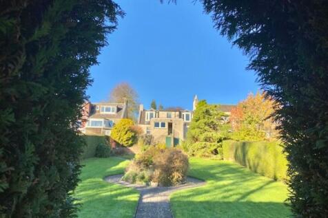 Back Garden