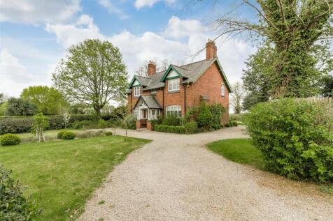 Plas David