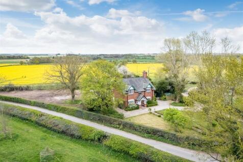 Plas David