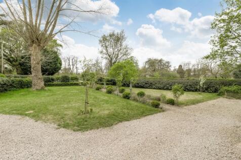 Plas David