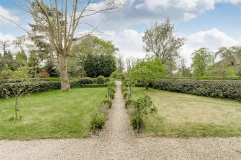 Plas David