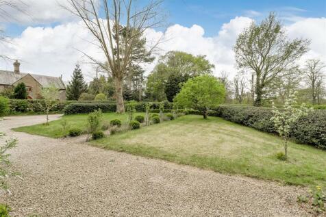 Plas David