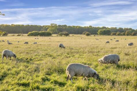 Land at Wolfhampcote Lot 2 PH-2.jpg