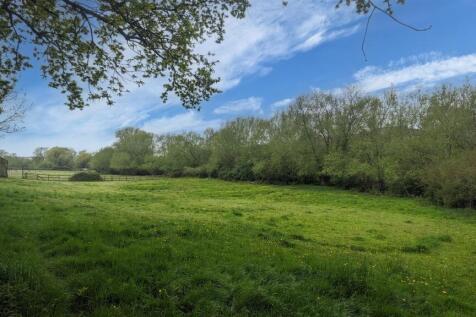 Back Paddock